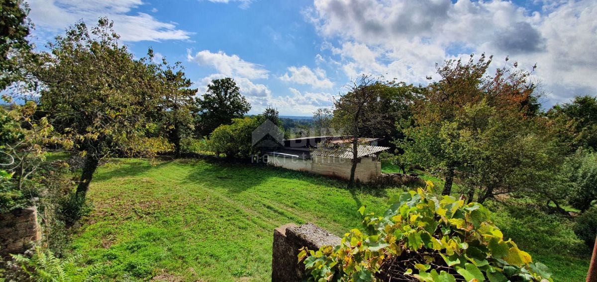 ISTRIA, GRAČIŠĆE - Proprietà 6880 m2 con casa in pietra in un tranquillo villaggio su una collina