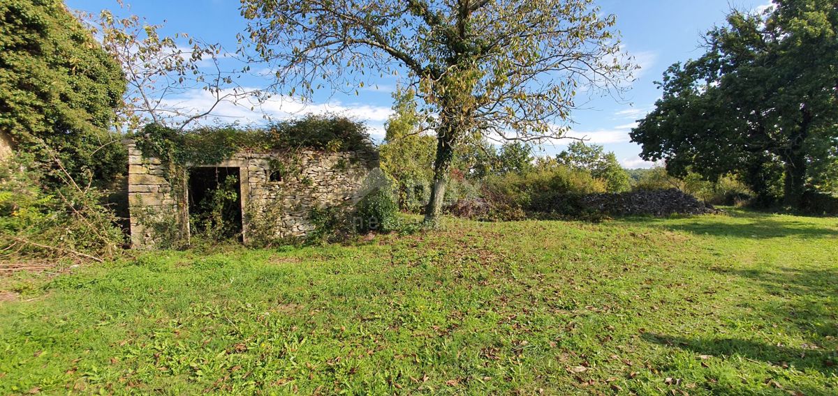 ISTRIA, GRAČIŠĆE - Proprietà 6880 m2 con casa in pietra in un tranquillo villaggio su una collina