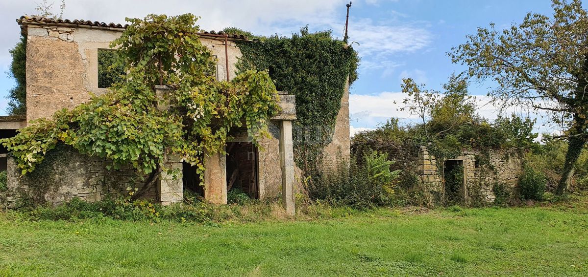 ISTRIA, GRAČIŠĆE - Proprietà 6880 m2 con casa in pietra in un tranquillo villaggio su una collina