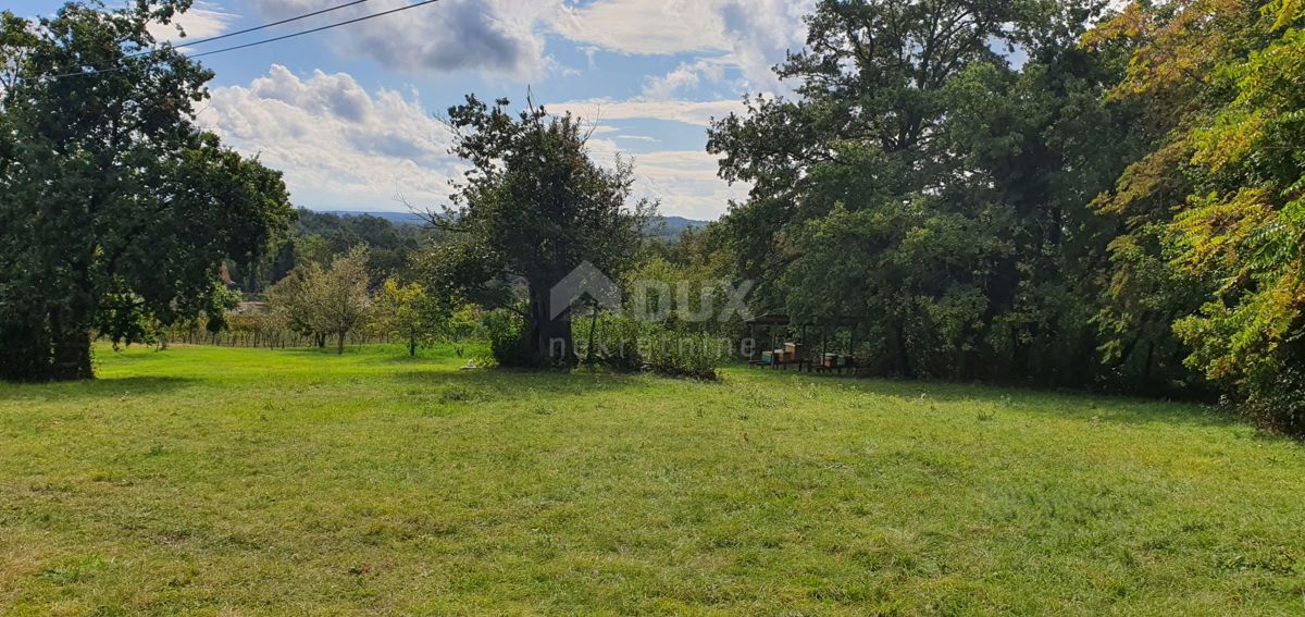 ISTRIA, GRAČIŠĆE - Proprietà 6880 m2 con casa in pietra in un tranquillo villaggio su una collina