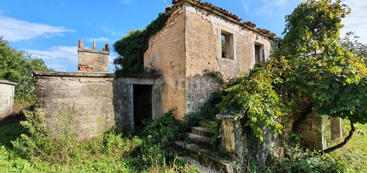 ISTRIA, GRAČIŠĆE - Proprietà 6880 m2 con casa in pietra in un tranquillo villaggio su una collina