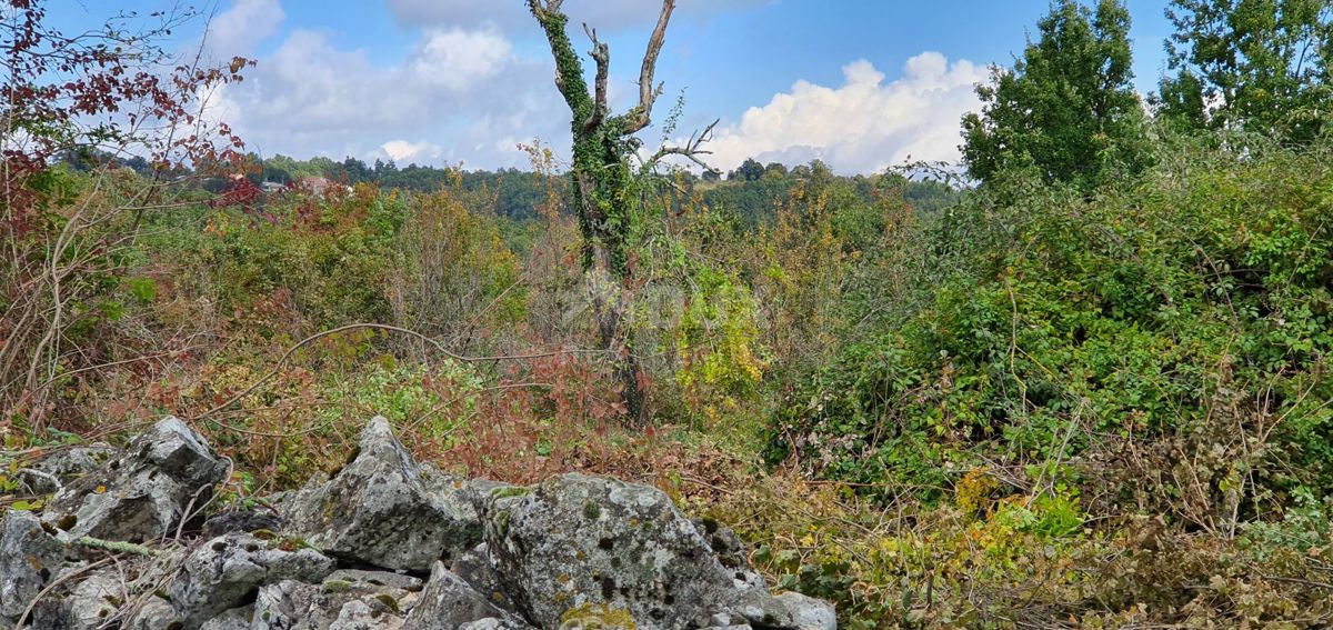 ISTRIA, GRAČIŠĆE - Proprietà 6880 m2 con casa in pietra in un tranquillo villaggio su una collina