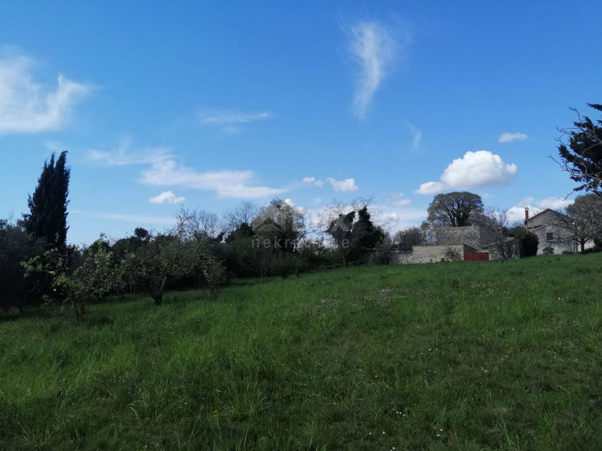 ISTRIA, ŽMINJ Proprietà per adattamento + terreno edificabile 3200 m2