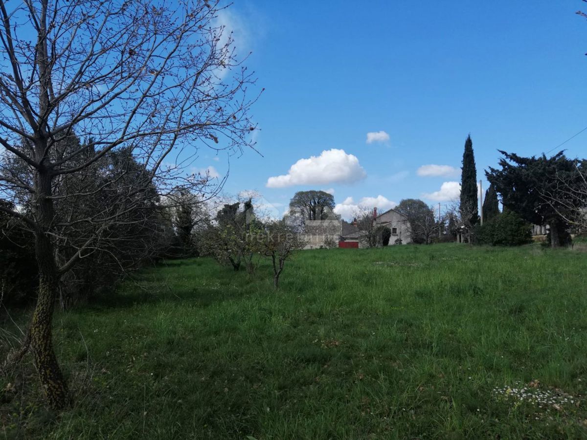 ISTRIA, ŽMINJ Proprietà per adattamento + terreno edificabile 3200 m2