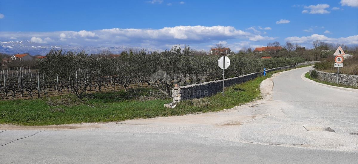 Terreno Pridraga, Novigrad, 1.080m2