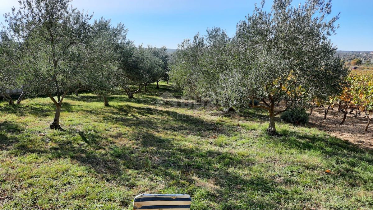 Terreno Pridraga, Novigrad, 1.080m2