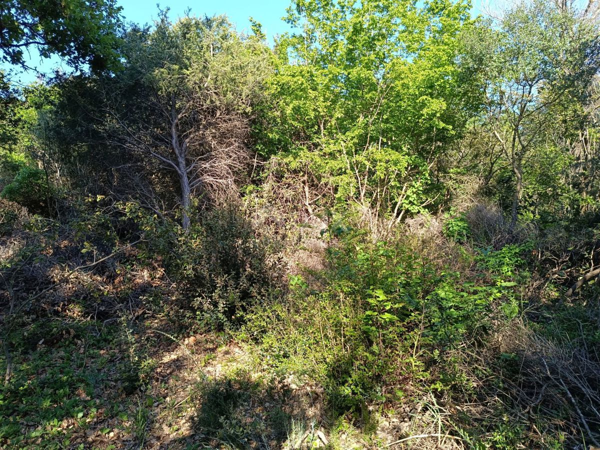 ISTRIA, PEROJ Ampia zona verde per il fine settimana a 200 m dalla spiaggia