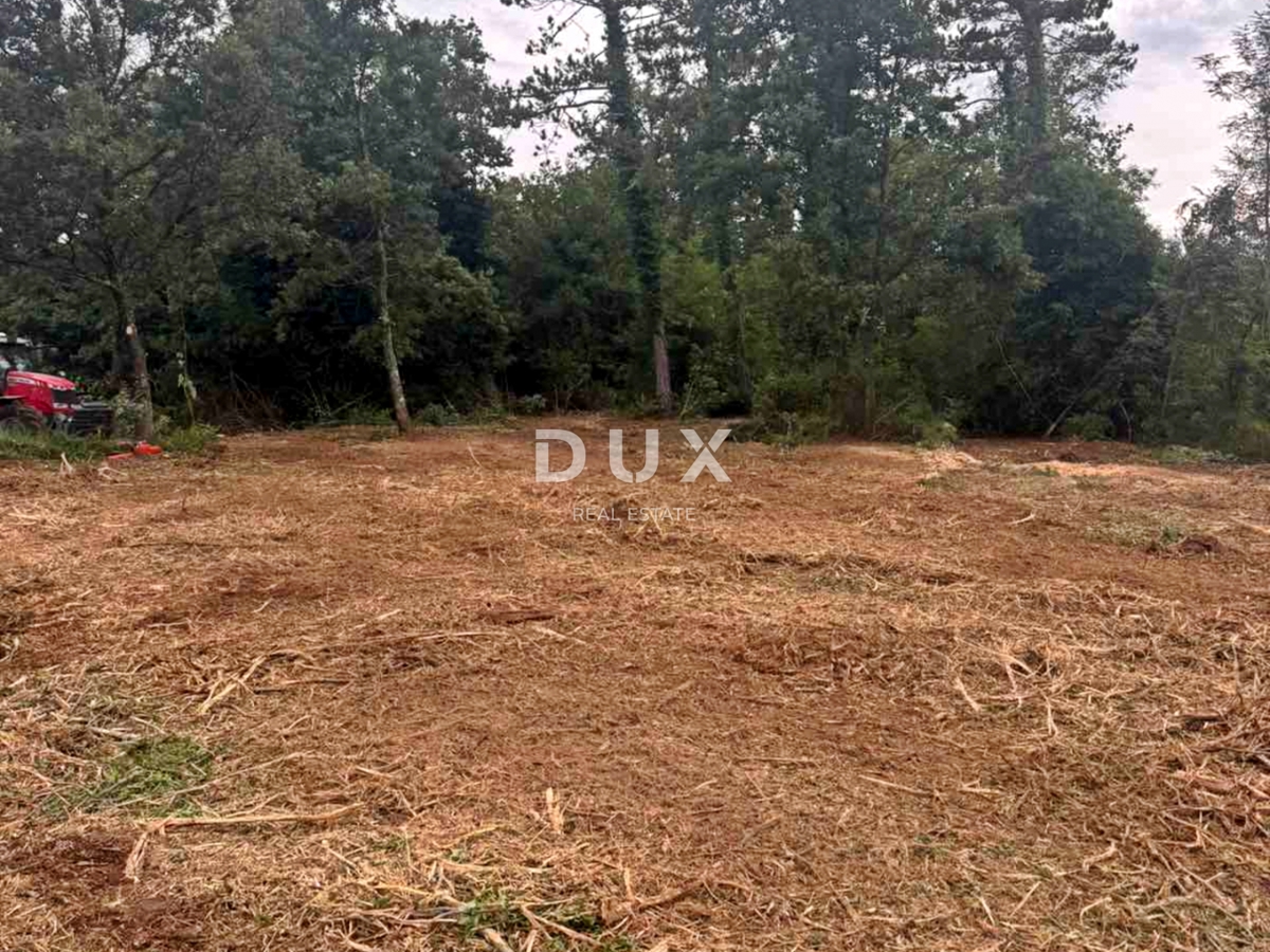 ISTRIA, LABIN - Ampio terreno ai margini dell'area edificabile