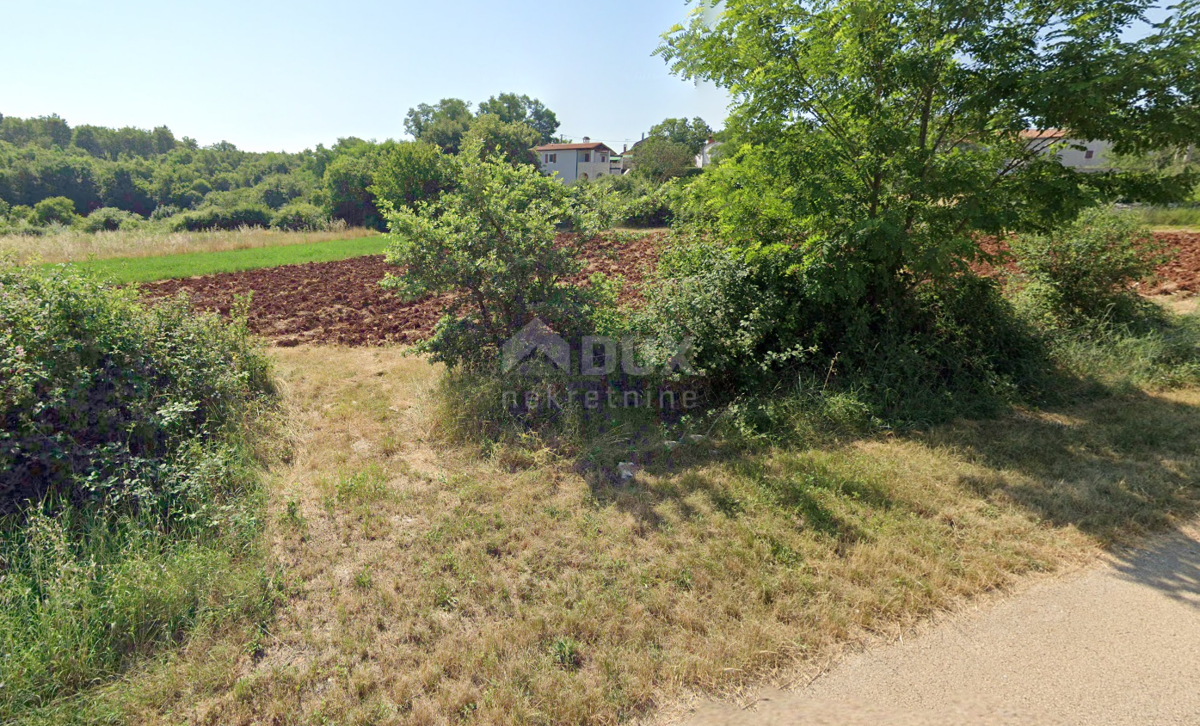 ISTRIA, SVETI LOVREČ - Terreno ai margini della zona edificabile, circondato su 3 lati dalla natura incontaminata