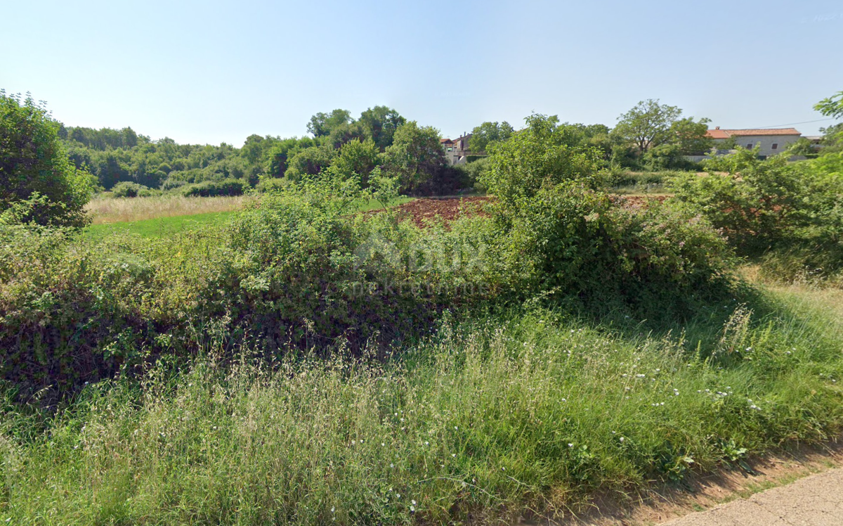 ISTRIA, SVETI LOVREČ - Terreno ai margini della zona edificabile, circondato su 3 lati dalla natura incontaminata