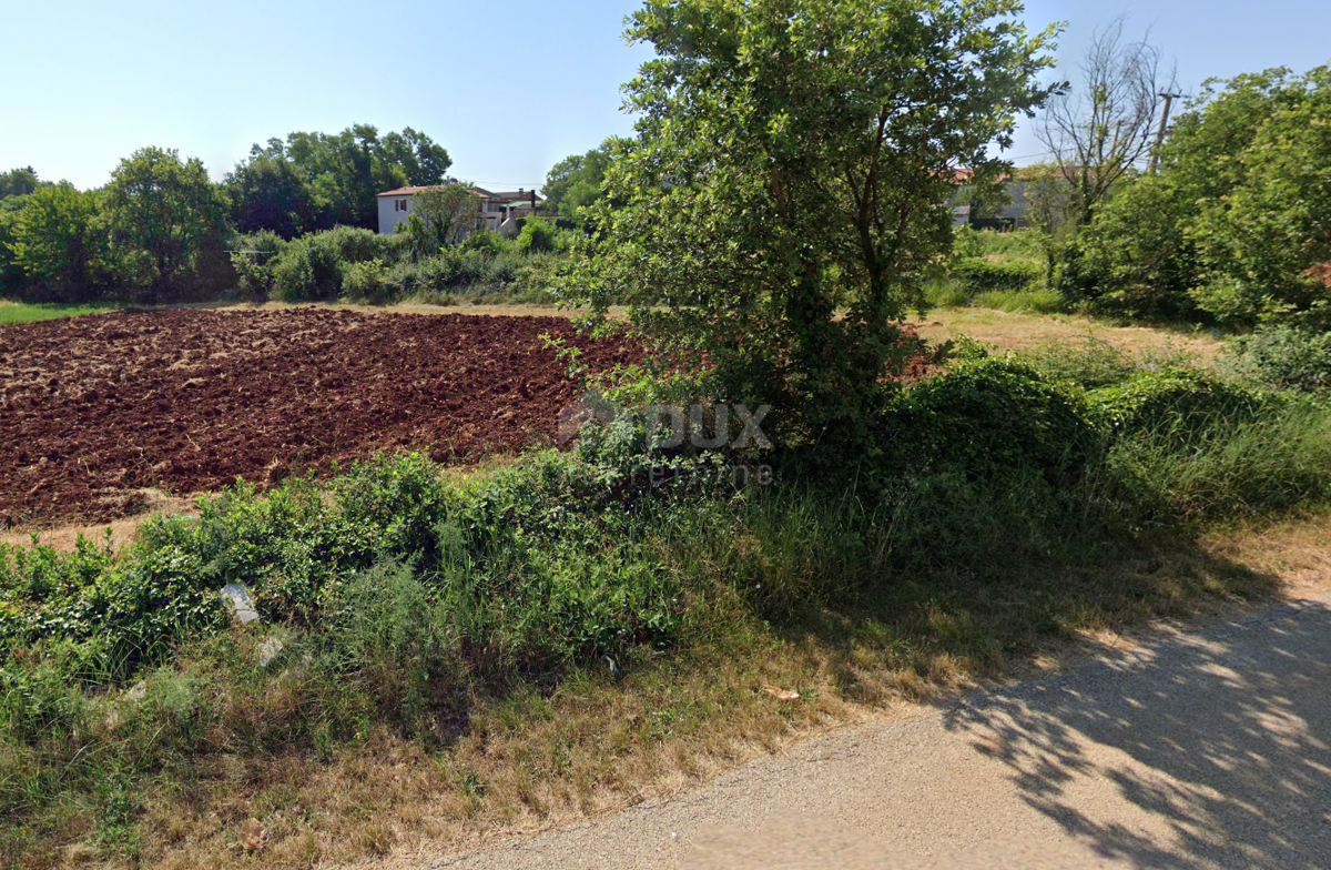 ISTRIA, SVETI LOVREČ - Terreno ai margini della zona edificabile, circondato su 3 lati dalla natura incontaminata