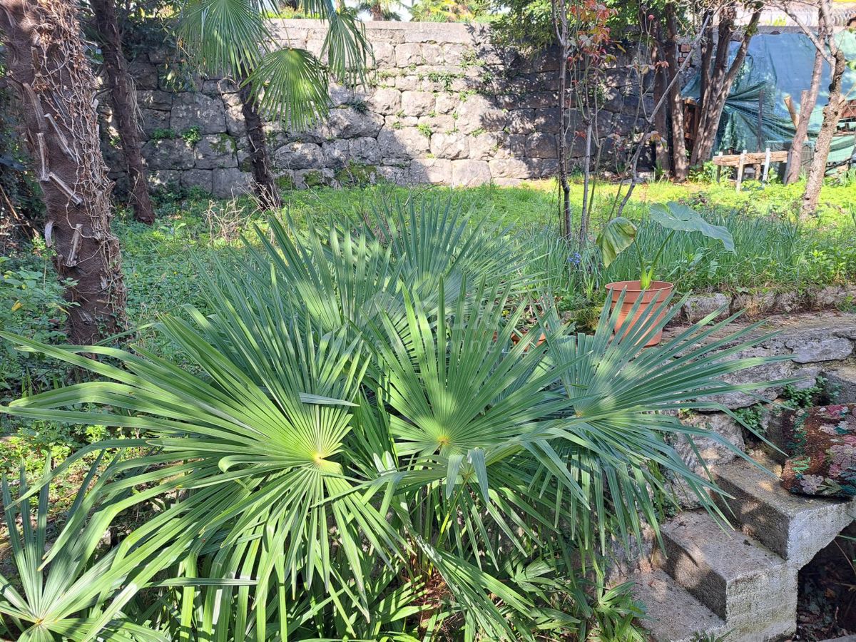 ABBAZIA, CENTRO - OCCASIONE! Piano della casa con vista, giardino e 2 posti auto