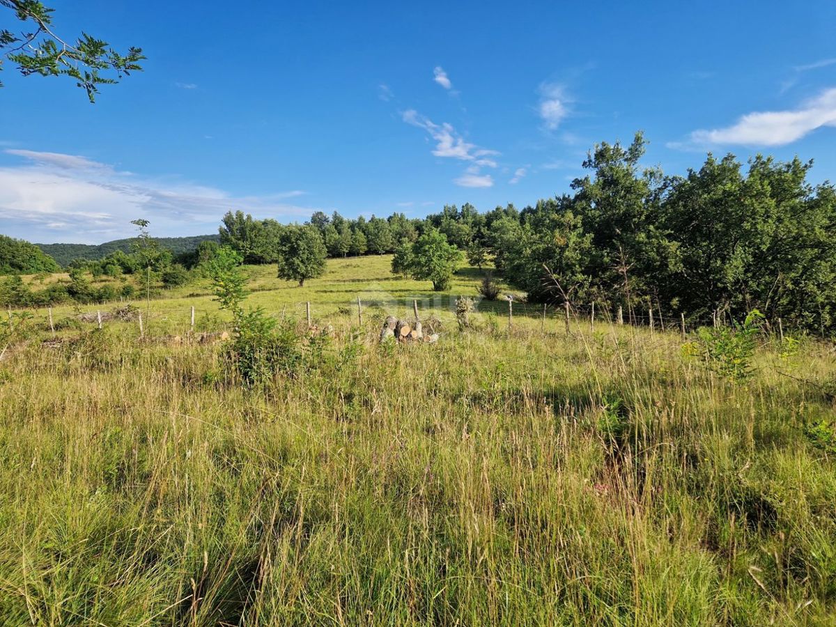 ISTRIA, GRONJAN - Ampio terreno ai margini del villaggio