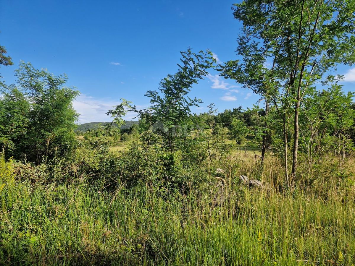 ISTRIA, GRONJAN - Ampio terreno ai margini del villaggio