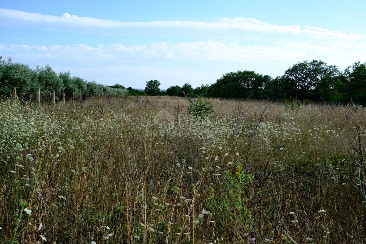 ZADAR, MURVICA - Terreno edificabile ideale in un ambiente naturale a Murvica