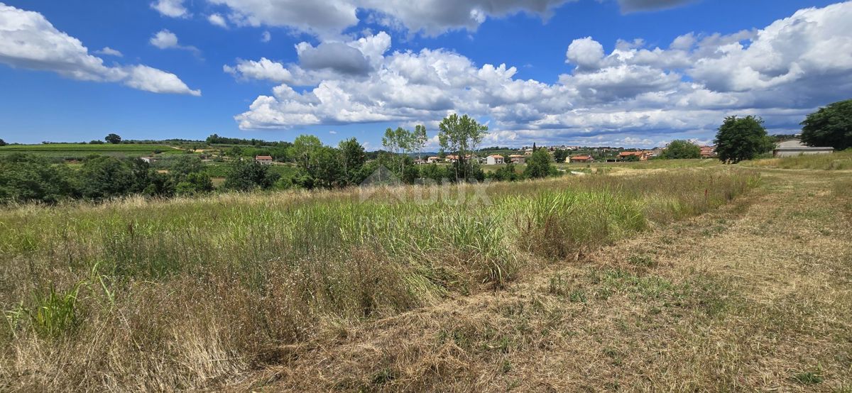 ISTRIA, VIŽINADA - Terreno edificabile con vista aperta