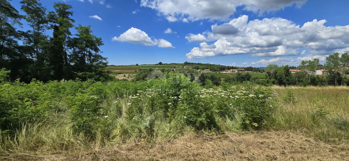 ISTRIA, VIŽINADA - Terreno edificabile con vista aperta