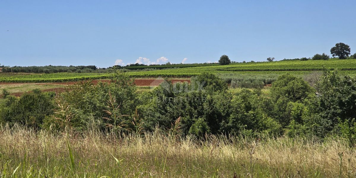 ISTRIA, VIŽINADA - Terreno edificabile con vista aperta