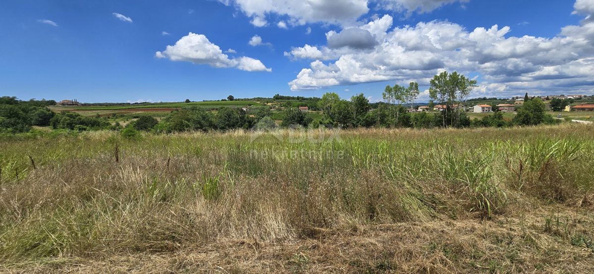 ISTRIA, VIŽINADA - Terreno edificabile con vista aperta