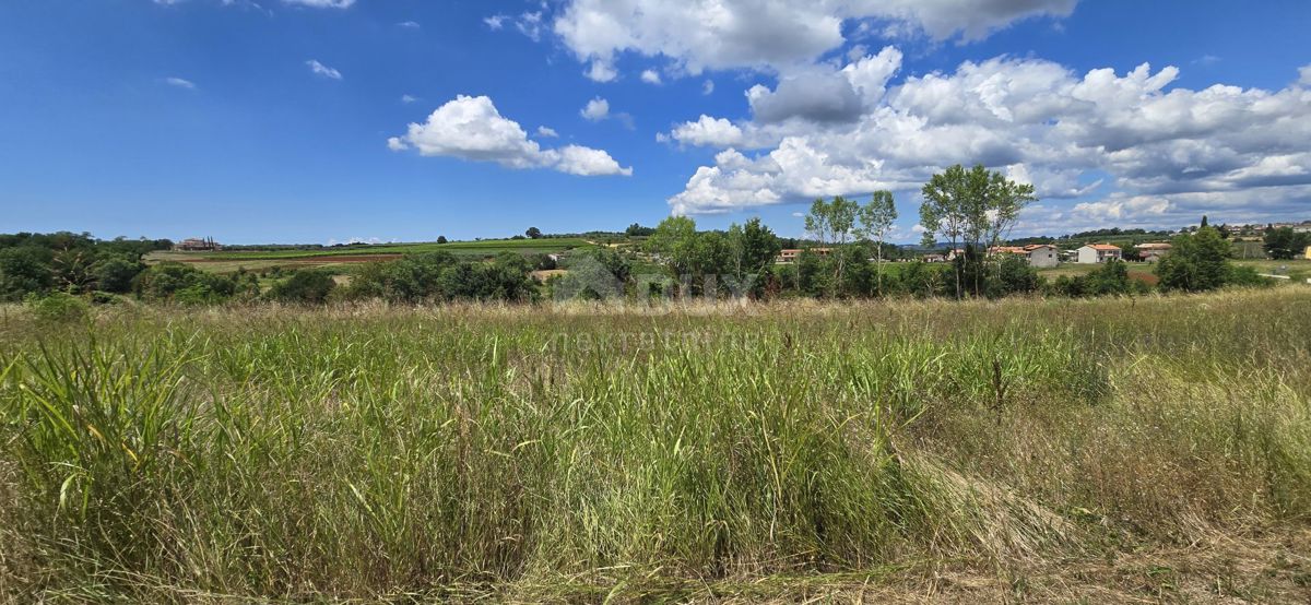 ISTRIA, VIŽINADA - Terreno edificabile con vista aperta