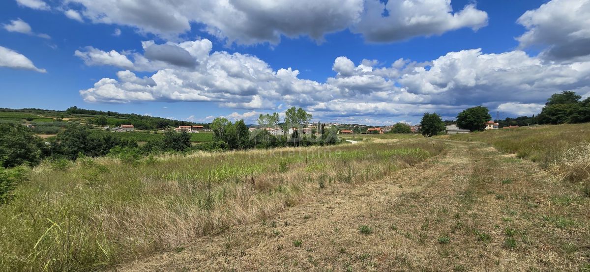 ISTRIA, VIŽINADA - Terreno edificabile con vista aperta