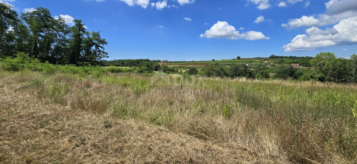 ISTRIA, VIŽINADA - Terreno edificabile con vista aperta