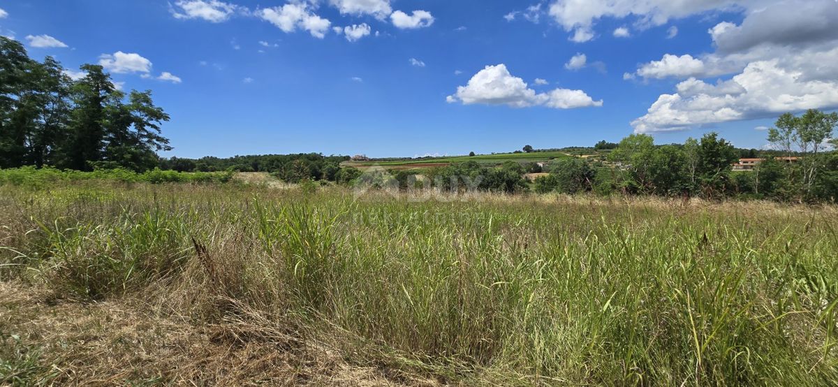 ISTRIA, VIŽINADA - Terreno edificabile con vista aperta