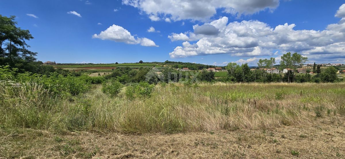 ISTRIA, VIŽINADA - Terreno edificabile con vista aperta