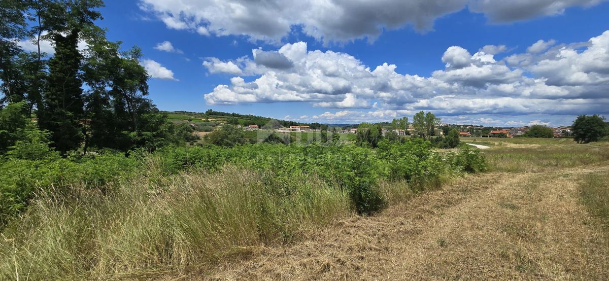 ISTRIA, VIŽINADA - Terreno edificabile con vista aperta