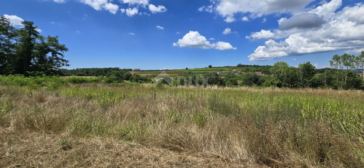 ISTRIA, VIŽINADA - Terreno edificabile con vista aperta