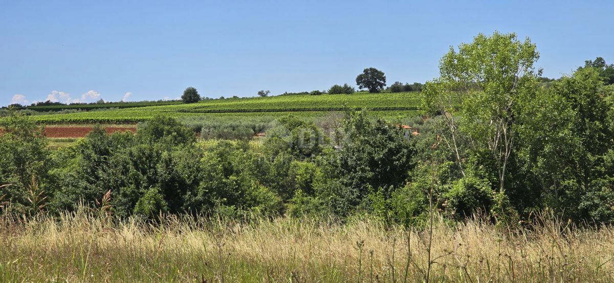 ISTRIA, VIŽINADA - Terreno edificabile con vista aperta