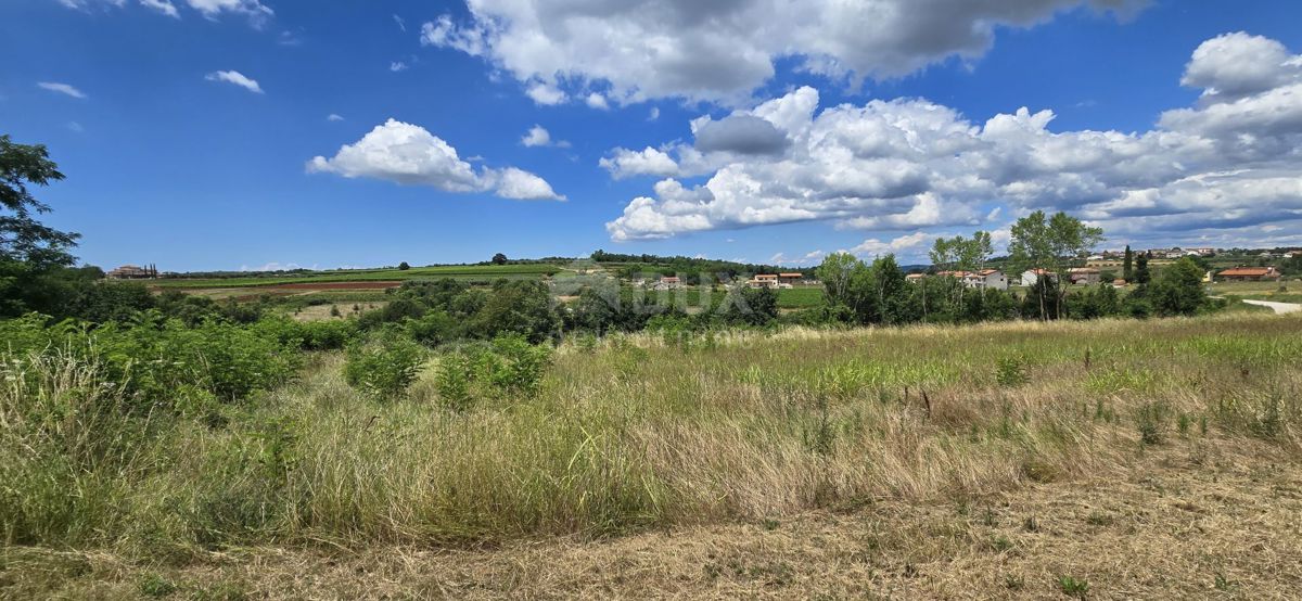 ISTRIA, VIŽINADA - Terreno edificabile con vista aperta