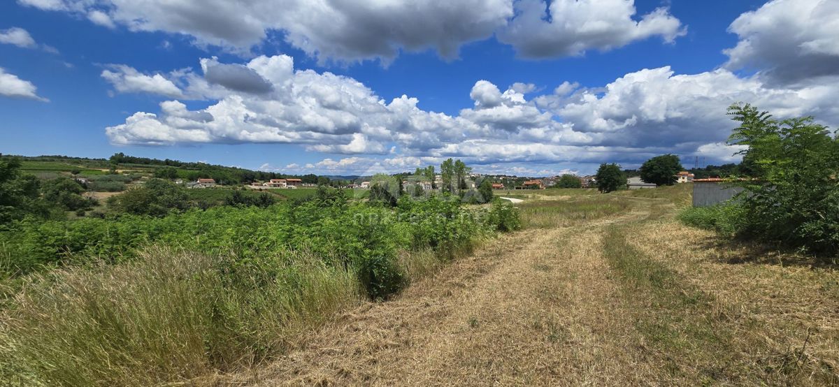 ISTRIA, VIŽINADA - Terreno edificabile con vista aperta