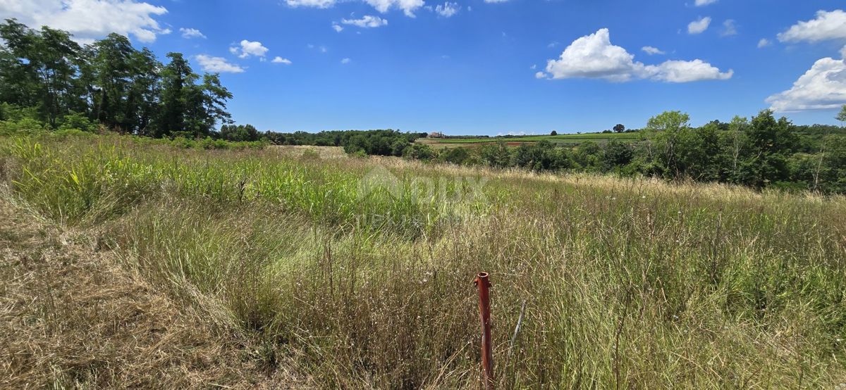 ISTRIA, VIŽINADA - Terreno edificabile con vista aperta