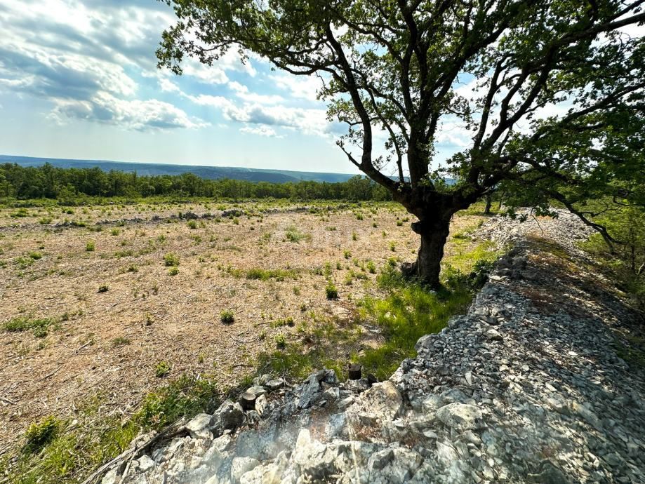 ALBONO, ST. LOVREČ, VLAKOVO - terreno edificabile 8600m2 per hotel / boutique hotel / casa familiare / villa / appartamenti / casa in affitto con piscina / casa vacanze con piscina