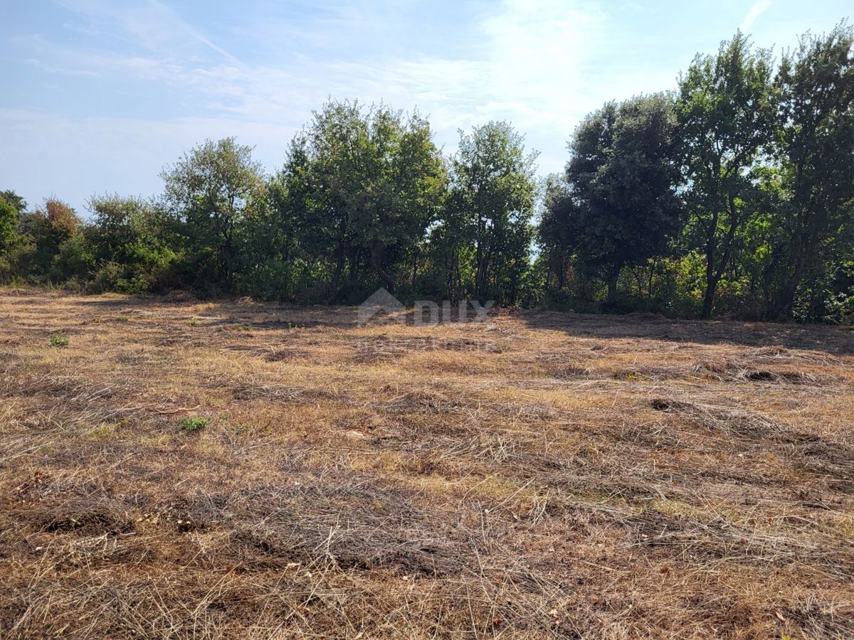 ISTRIA, MARČANA - Terreni edificabili e agricoli 