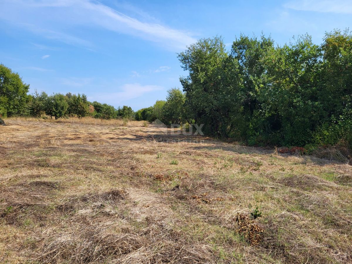 ISTRIA, MARČANA - Terreni edificabili e agricoli 