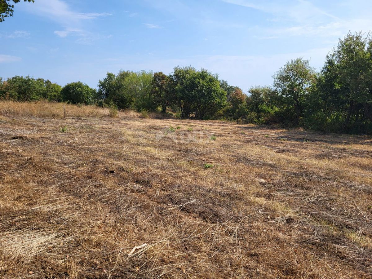 ISTRIA, MARČANA - Terreni edificabili e agricoli 