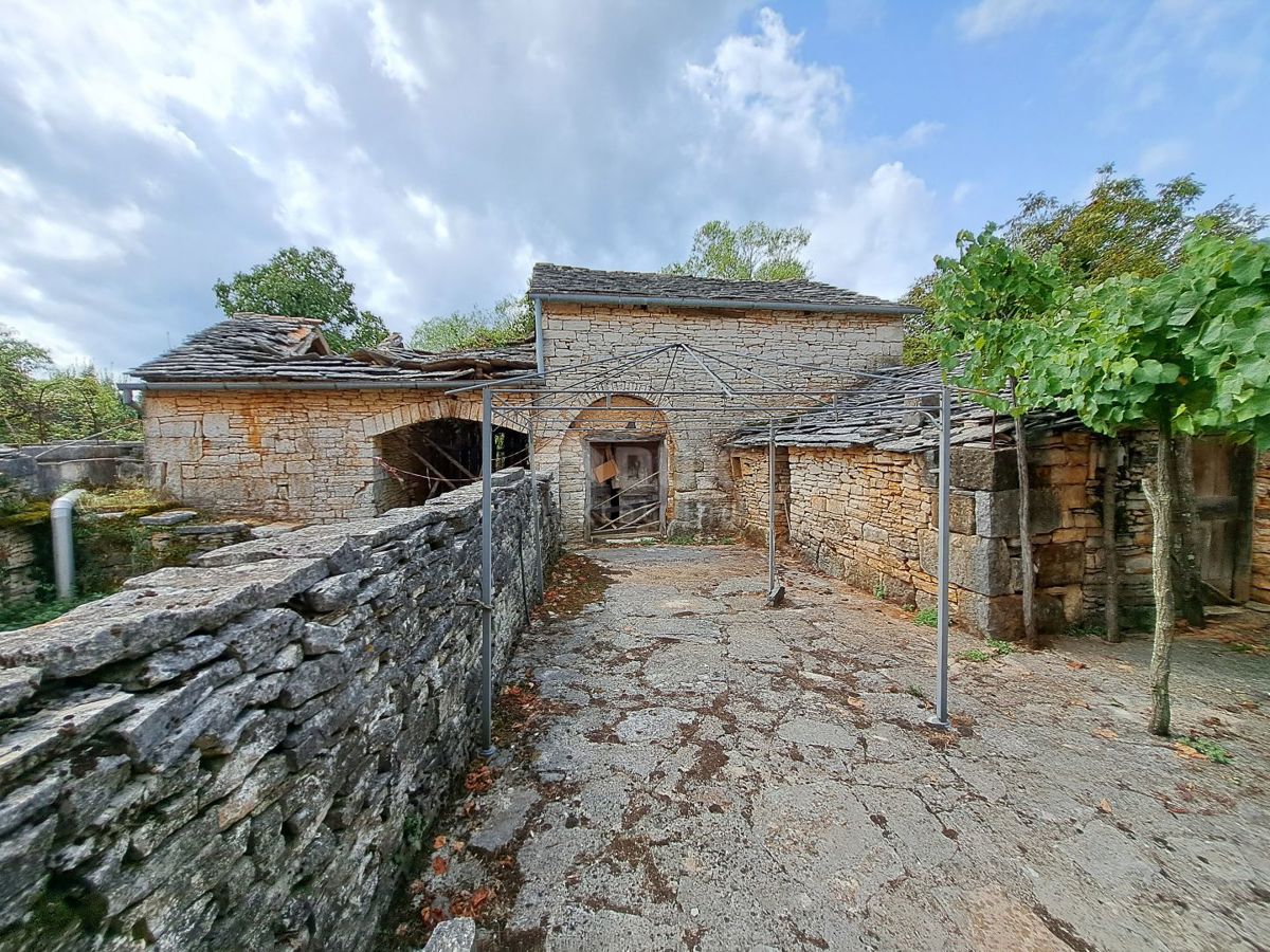 ISTRIA, GRIGNAN, DINTORNI - vecchia casa con terreno di 60.000 m2 