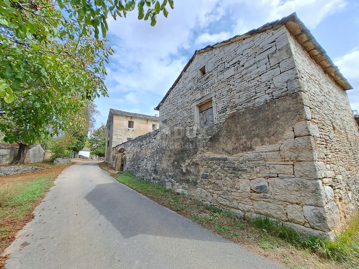 ISTRIA, GRIGNAN, DINTORNI - vecchia casa con terreno di 60.000 m2 