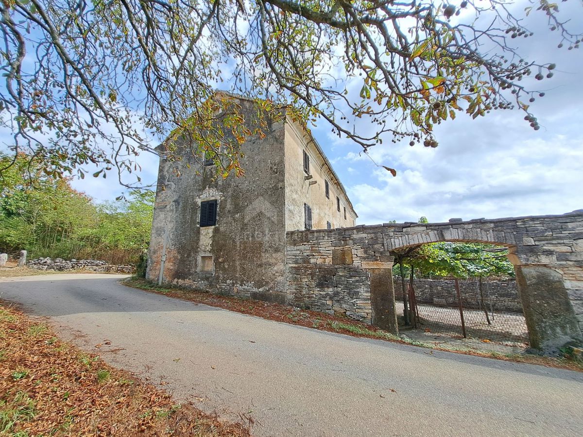 ISTRIA, GRIGNAN, DINTORNI - vecchia casa con terreno di 60.000 m2 