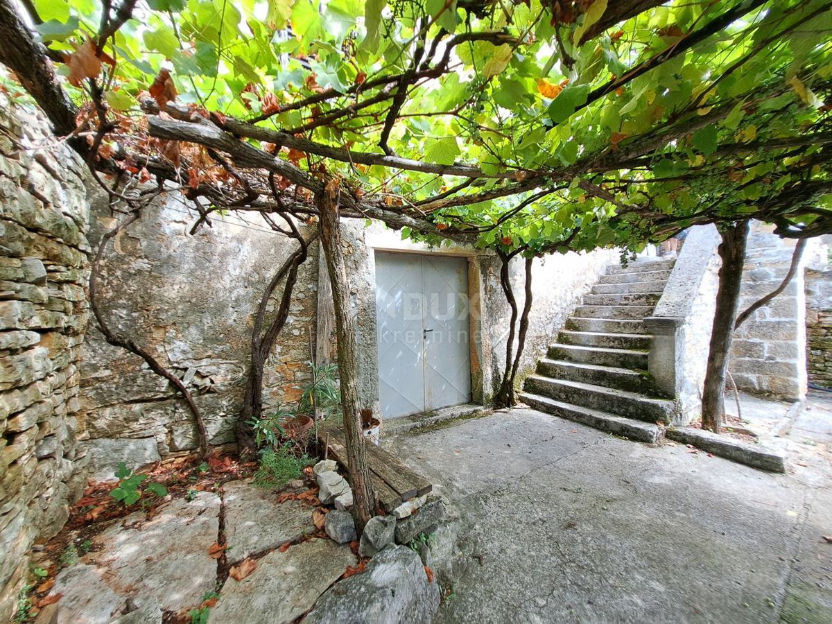 ISTRIA, GRIGNAN, DINTORNI - vecchia casa con terreno di 60.000 m2 