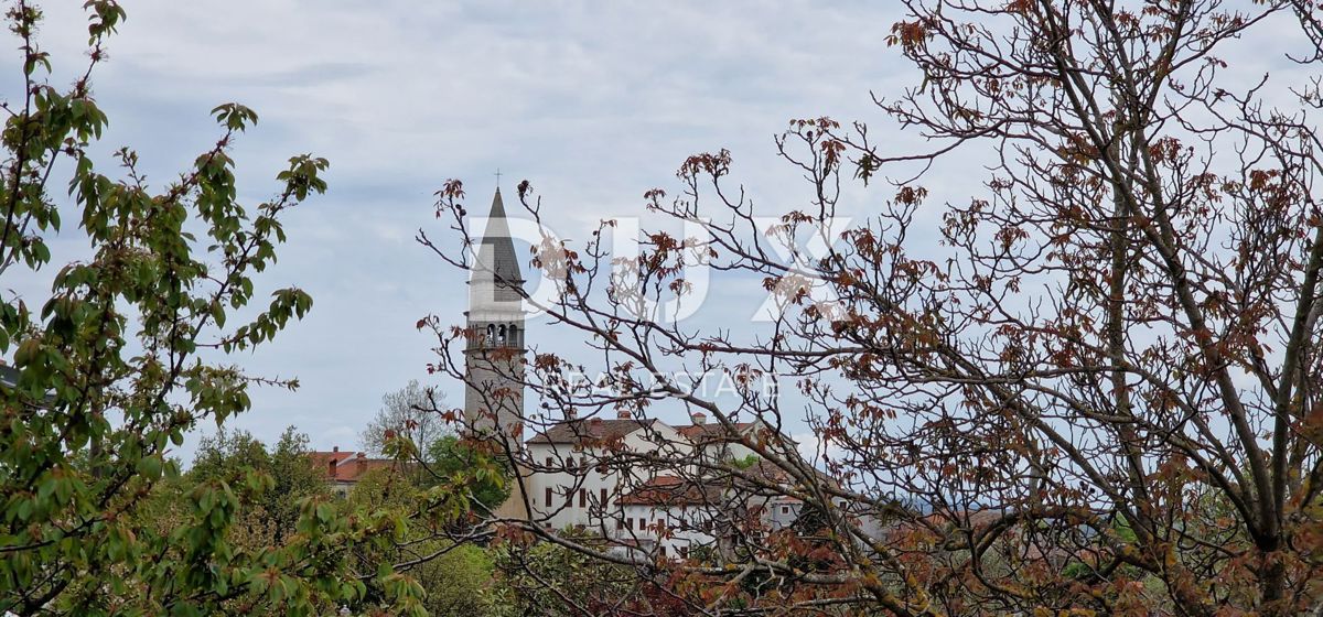 ISTRIA, PIĆAN - Bella casa bifamiliare con ampio giardino