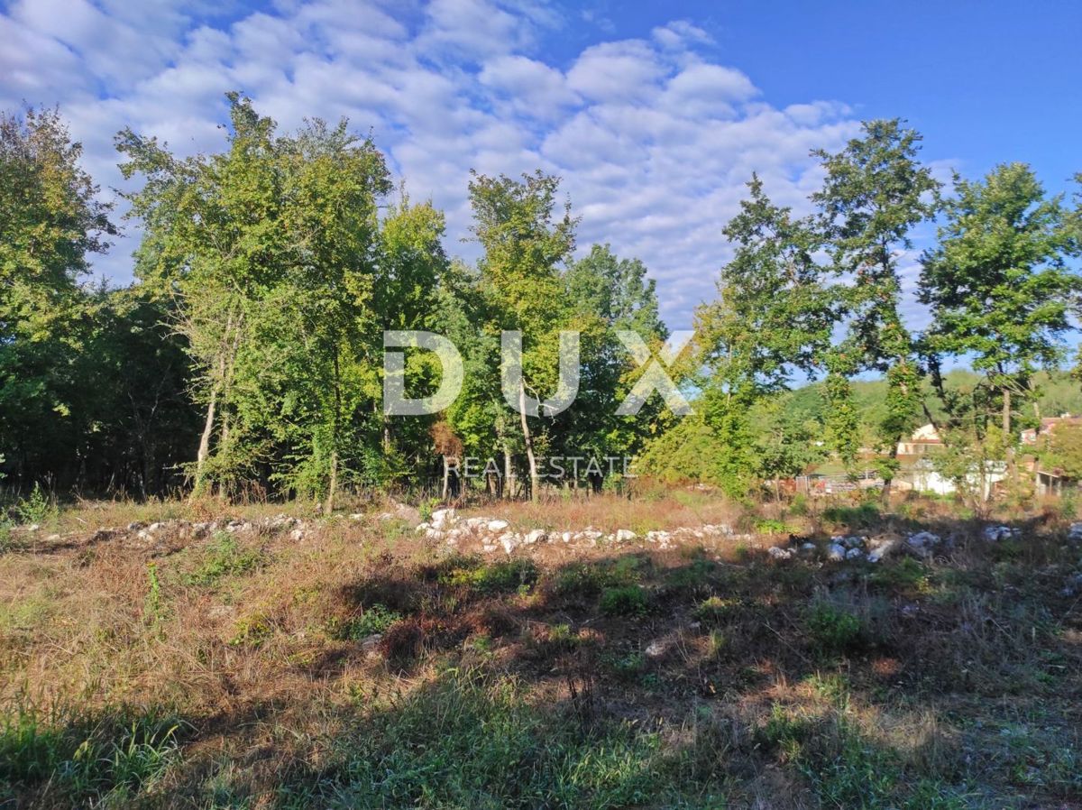 ISTRIA, MOTOVUN - Ampio terreno con permesso di costruzione