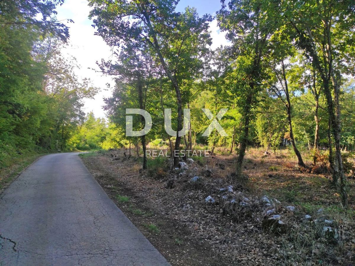 ISTRIA, MOTOVUN - Ampio terreno con permesso di costruzione