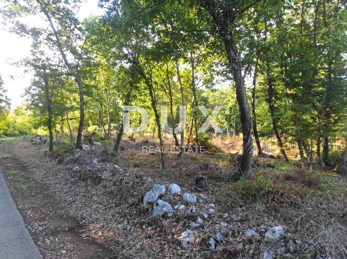 ISTRIA, MOTOVUN - Ampio terreno con permesso di costruzione