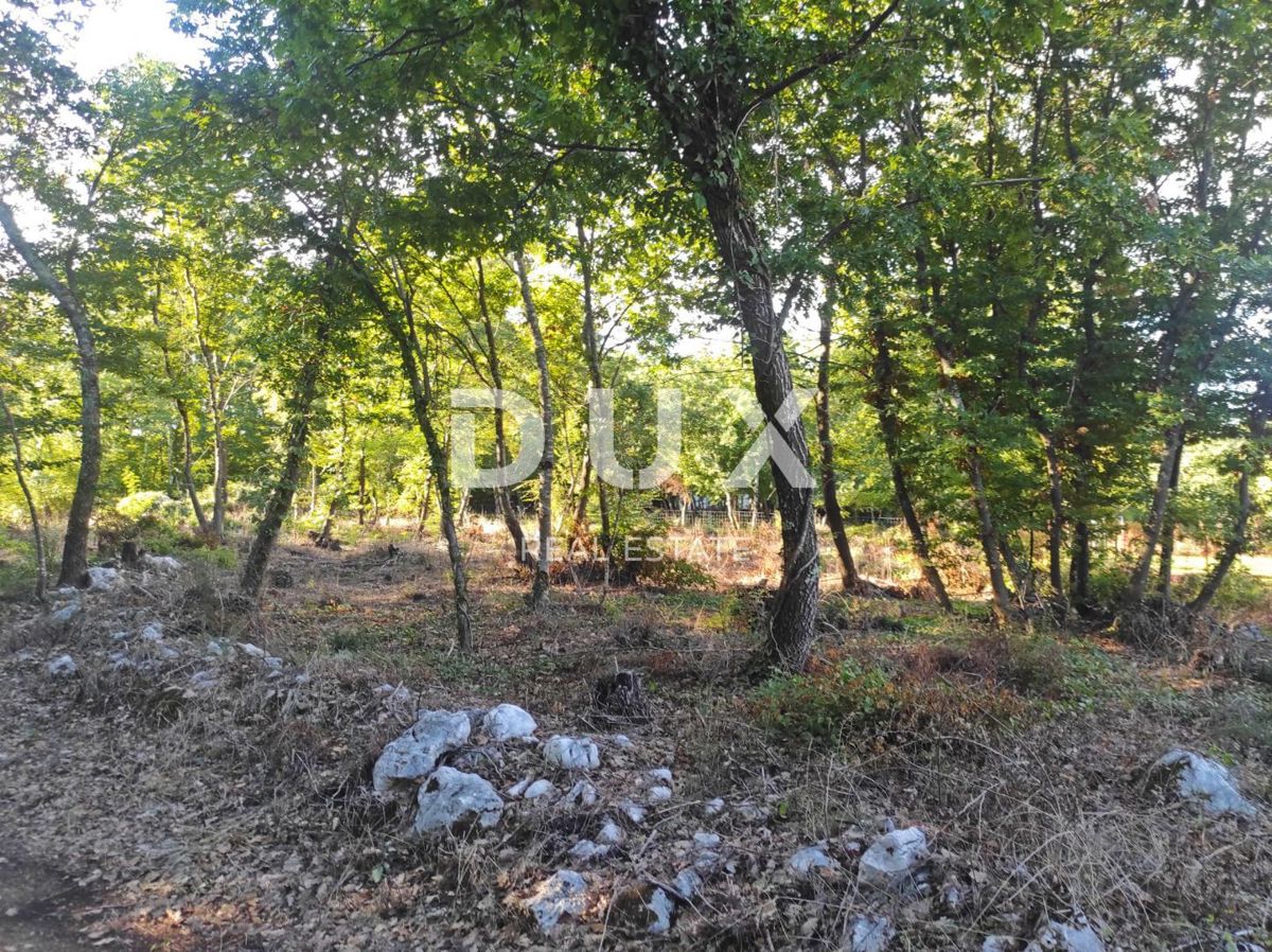 ISTRIA, MOTOVUN - Ampio terreno con permesso di costruzione