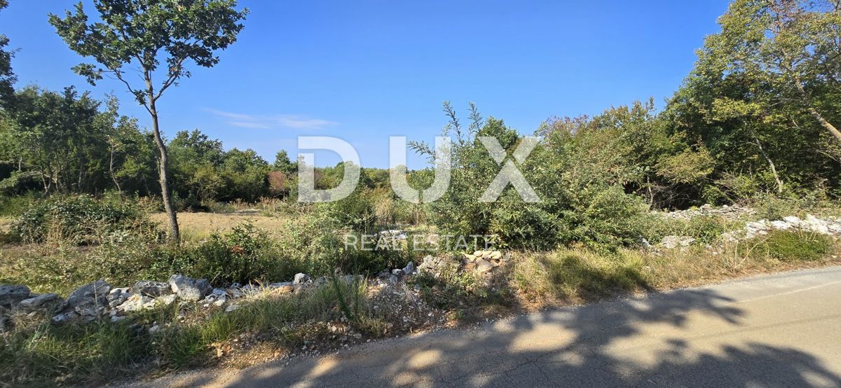 ISTRIA, SVETVINČENAT - Terreno edificabile ai margini del villaggio