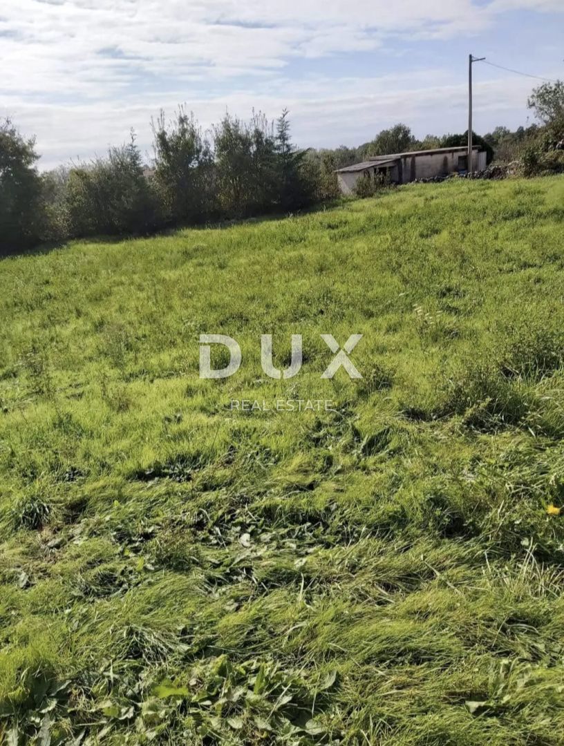 ISTRIA, ŽMINJ - Bellissimo terreno edificabile ai margini del villaggio