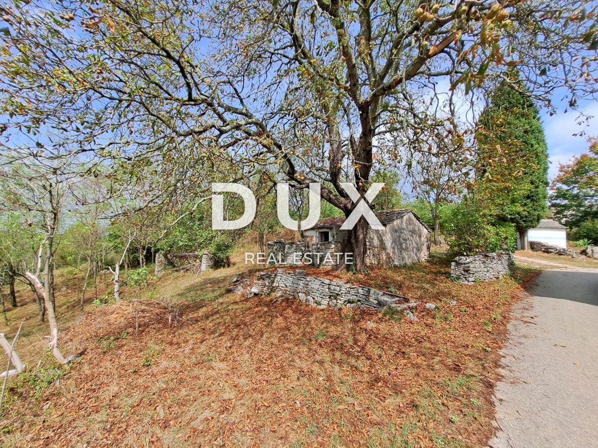 ISTRIA, GROŽNJAN, DINTORNI - terreno di 60.000 m², con un edificio di 21 m²